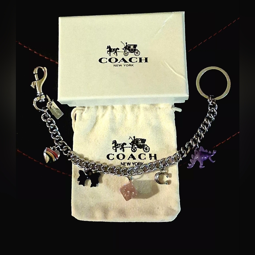 COACH SILVER CHAIN, MULTICOLOR MOTIF BAG CHARM. HEART, DICE, DINO, "C", BOW.